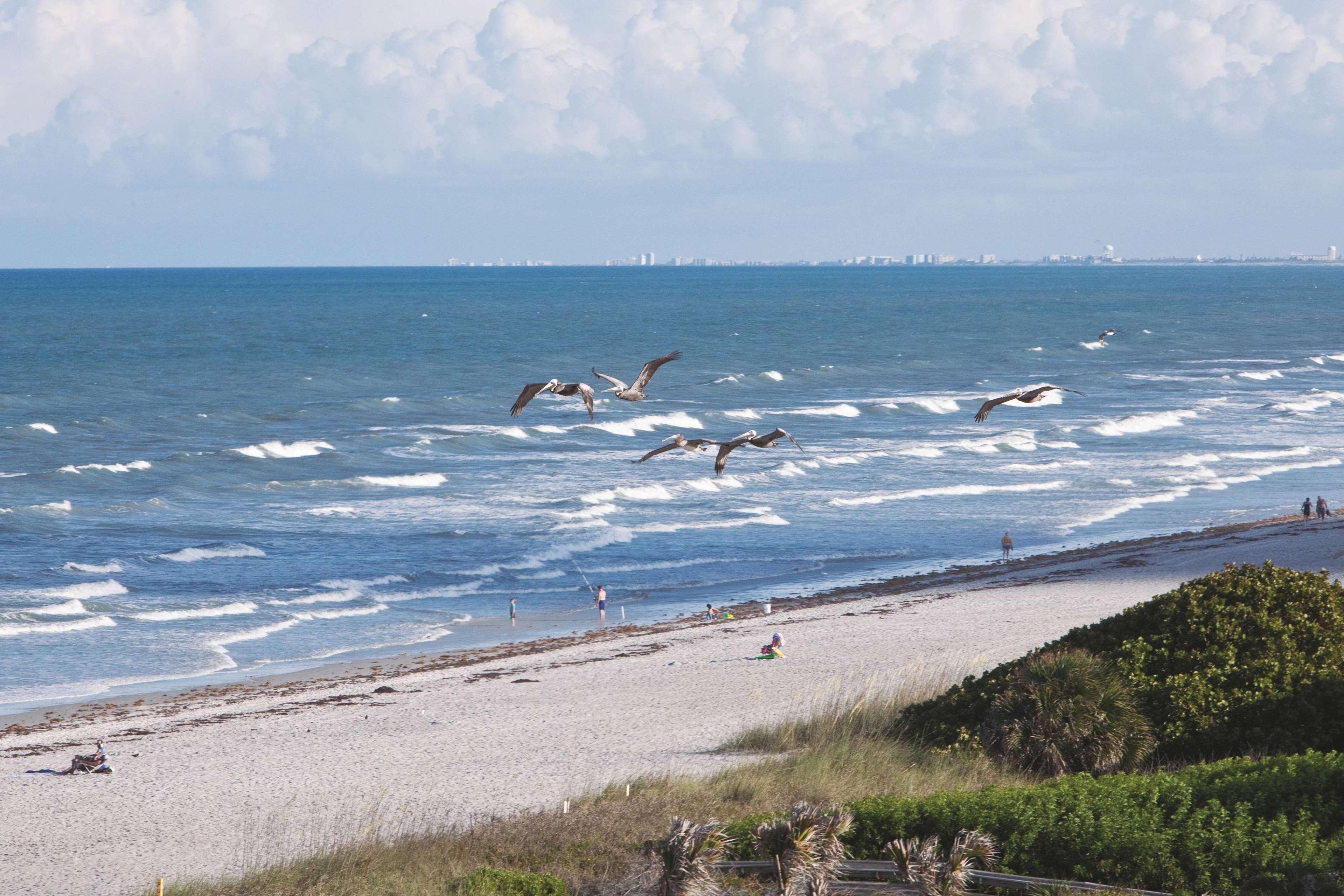 La Quinta By Wyndham Cocoa Beach Oceanfront Hotel Exterior photo